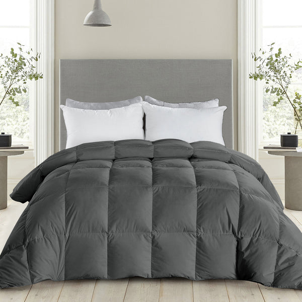 Lightweight Down Comforter by FASO