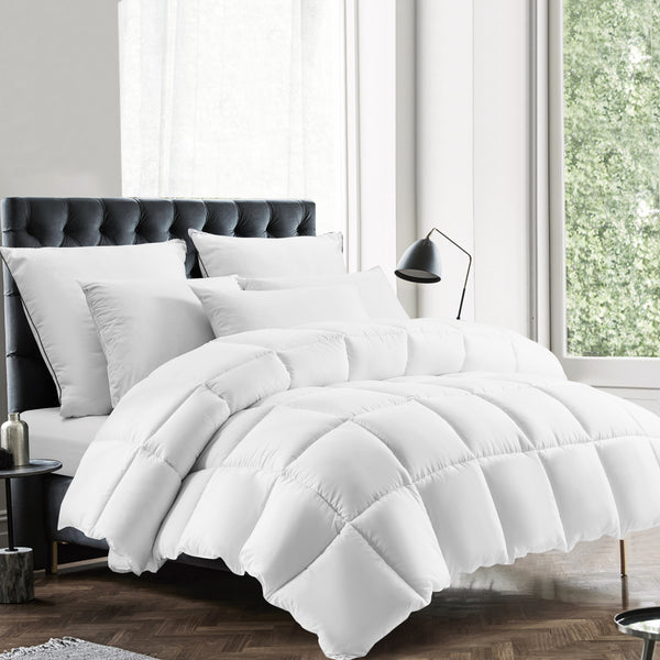 All Season Soft Quilted Down Alternative Comforter by EDUJIN