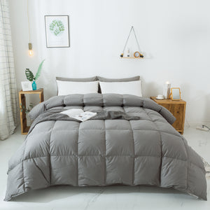 100% Cotton All Season Down Comforter by WhatsBedding