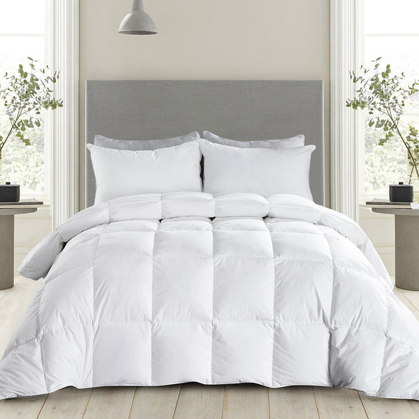 Lightweight Down Comforter by FASO